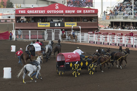 Chuckwagon racing at the annual Calgary Stampede, Calgary, Alberta, Canadaのeditorial素材