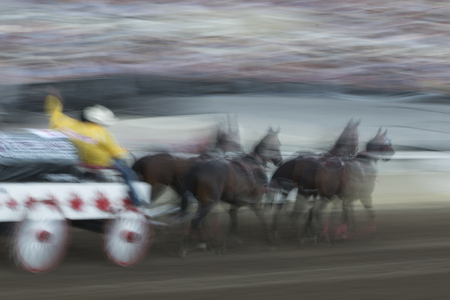 Blurred motion of chuckwagon racing at the annual Calgary Stampede, Calgary, Alberta, Canadaのeditorial素材