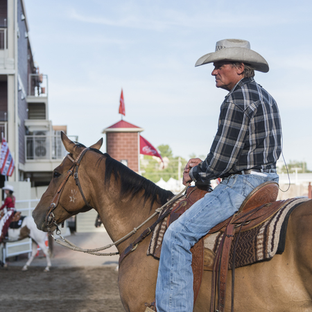 Cowboy on a horse at the annual Calgary Stampede, Calgary, Alberta, Canadaのeditorial素材