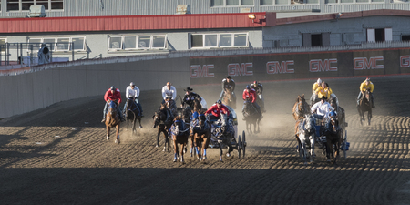 Chuckwagon racing at the annual Calgary Stampede, Calgary, Alberta, Canadaのeditorial素材