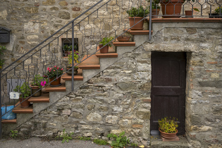 Planters along stairway of house, Chianti, Tuscany, Italyのeditorial素材