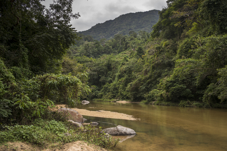 Scenic view of river flowing in forest, Yelapa, Jalisco, Mexicoの写真素材