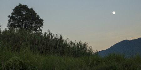 Low view of landscape with moon in the sky at dawn, Laosの写真素材