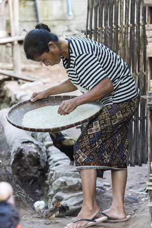 Woman winnowing rice in basket, Ban Gnoyhai, Luang Prabang, Laosの写真素材