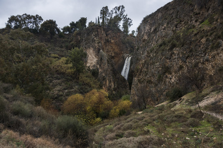 Waterfall in forest, Tahana Waterfall, Nahal Ayoun Nature Reserve, Metula, Northern District, Israelの写真素材
