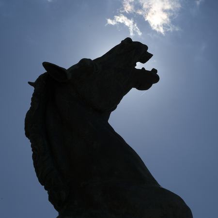 Statue of horse at House of the National Assembly of Serbia, Belgrade, Serbiaの写真素材