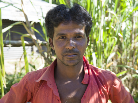 Portrait of man standing in field, Yangthang Village, Gyalshing, West Sikkim, Sikkim, Indiaのeditorial素材