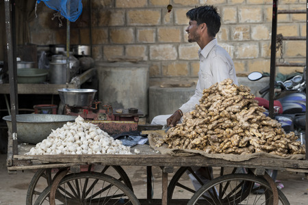 Man selling garlic and ginger, Jaisalmer, Rajasthan, Indiaのeditorial素材