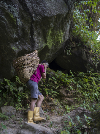 Man carrying firewood, Bhalu Khop Village, West Sikkim, Sikkimのeditorial素材