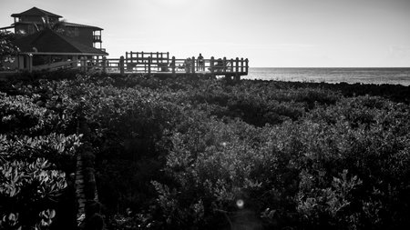 Coastline along West End, Roatan, Hondurasのeditorial素材