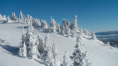 Scenic view of snow covered mountainside at ski resort, Sun Peaks Resort, Sun Peaks, British Columbia, Canadaのeditorial素材
