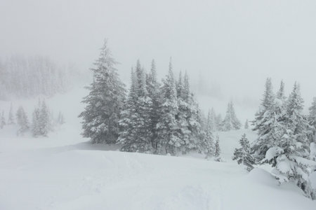 Scenic view of snow covered mountainside at ski resort, Sun Peaks Resort, Sun Peaks, British Columbia, Canadaのeditorial素材