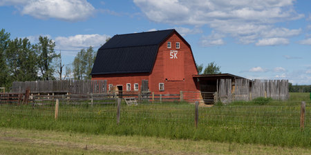 Barn in field, Alberta Highway 22, Alberta, Canadaのeditorial素材