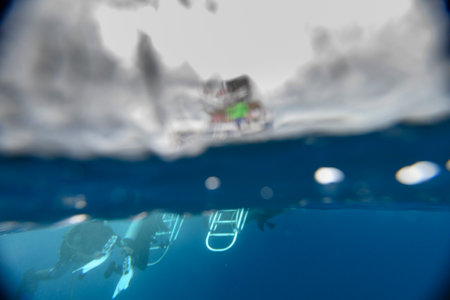 Underwater and above water view in sea, Silk Caye, Placencia, Belizeのeditorial素材