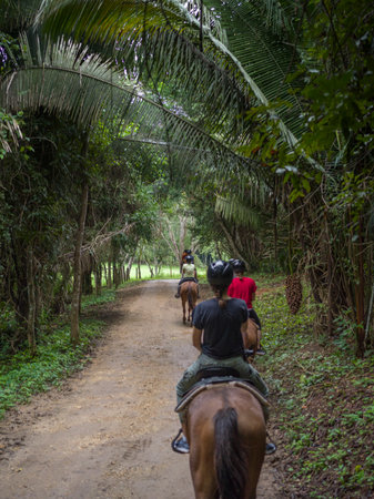 Tourists riding horses, Chaa Creek Road, Chaa Creek Nature Reserve, San Ignacio, Belizeのeditorial素材