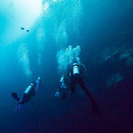 Scuba divers underwater, The Great Blue Hole, Belize Barrier Reef, Lighthouse Reef, Belizeのeditorial素材
