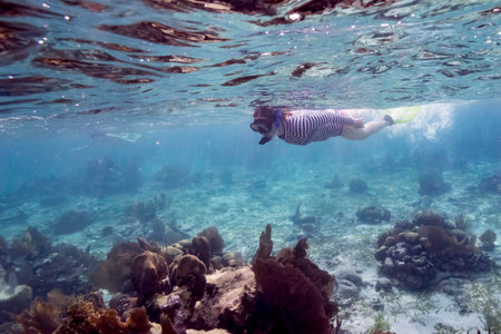 Woman snorkeling, Turneffe Atoll, Belize Barrier Reef, Belizeのeditorial素材