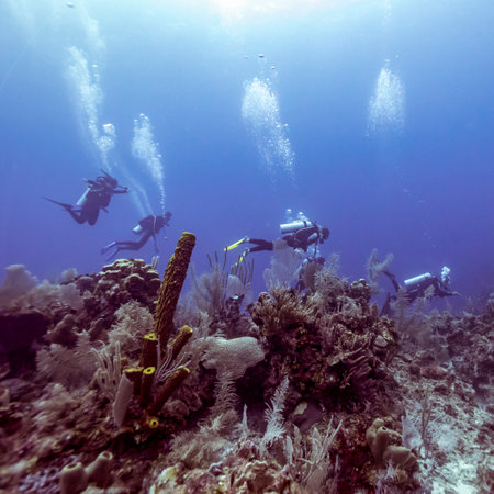 Scuba divers underwater near coral reef, Belizeのeditorial素材