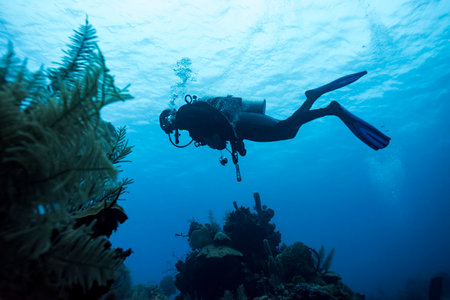 Scuba diver underwater near coral reefs, Belizeのeditorial素材