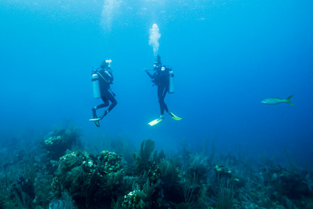 Scuba divers underwater, Belizeのeditorial素材