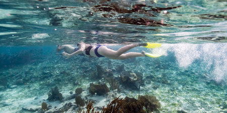 Woman snorkeling, Turneffe Atoll, Belize Barrier Reef, Belizeのeditorial素材