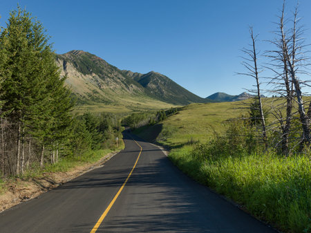 Road leading towards mountain, Red Rock Canyon Parkway, Waterton Lakes National Park, Alberta, Canadaのeditorial素材