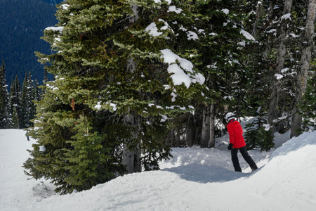 Skier in snow, Whistler, British Columbia, Canadaのeditorial素材