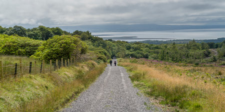 People walking on dirt road passing through field, Grange, County Sligo, Irelandのeditorial素材