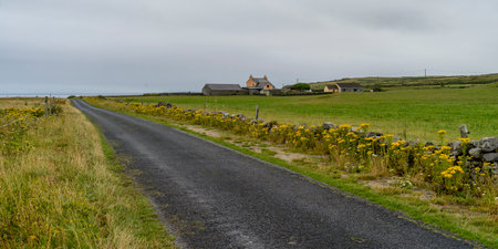 Dirt road passing through field, Grange, County Sligo, Irelandのeditorial素材