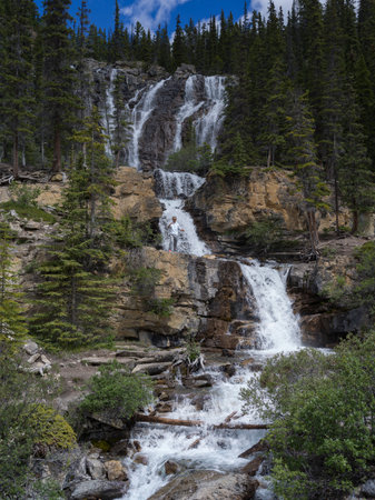 Waterfall in forest, Tangle Falls, Icefields Parkway, Jasper, Alberta, Canadaのeditorial素材