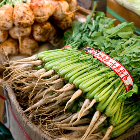 Radishes for sale in market, Dongdaemun Market, Seoul, South Koreaのeditorial素材
