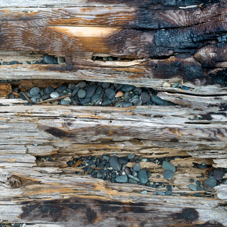 Close-up of driftwood and pebbles on Spiral Beach, Victoria, British Columbia, Canadaのeditorial素材