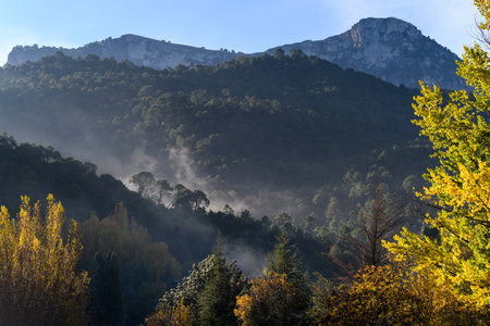 Elevated view of trees on mountain, Sierra De Cazorla, Jaen Province, Spainのeditorial素材