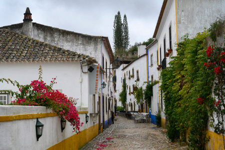 Houses along street in a town, Obidos, Leiria District, Portugalのeditorial素材