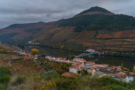 Town along riverbank, Douro River, Douro Valley, Portugalのeditorial素材