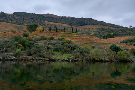 Scenic view of riverbank, Douro River, Douro Valley, Portugalのeditorial素材