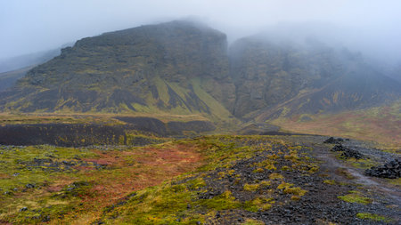 Scenic view of Ravine, Snaefellsnes Peninsula, Snaefellsnes, Western Region, Icelandのeditorial素材