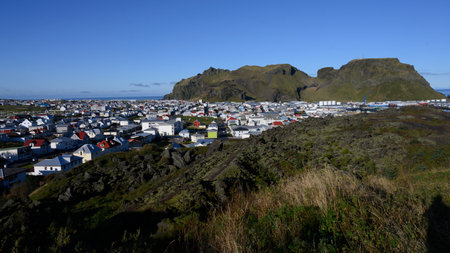Houses in a town on the coast, Vestmannaeyjar, Southern Region, Icelandのeditorial素材