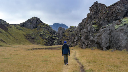 Woman walking in field, Grimsnes- og Grafningshreppur, Southern Region, Icelandのeditorial素材