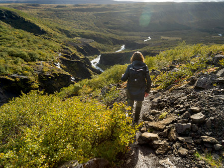 Female hiker, Glymur Hiking Trail, Hvalfjaroarsveit, Capital Region, Icelandのeditorial素材