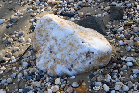 Pebbles on the beach, Port Douglas, Far North Queensland, Queensland, Australiaのeditorial素材