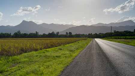 Road passing through field, Far North Queensland, Queensland, Australiaのeditorial素材