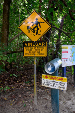 Signboard in a forest, Cape Tribulation Beach, Cape Tribulation, Queensland, Australiaのeditorial素材