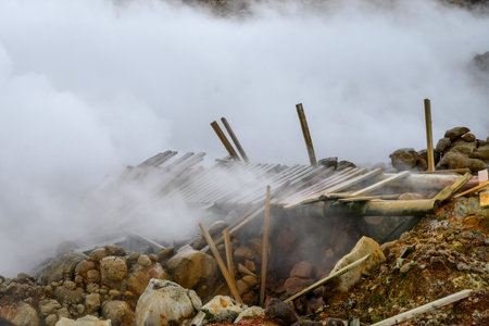 Collapsed wooden bridge at Gunnuhver Hot springs, Grindavik, Southern Peninsula Region, Icelandのeditorial素材