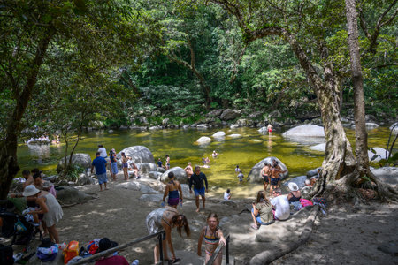 Tourists at Mossman Gorge, Far North Queensland, Queensland, Australiaのeditorial素材