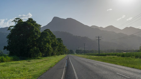 Road passing through field, Far North Queensland, Queensland, Australia