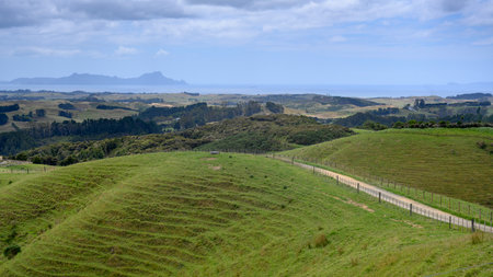 Fence in a field, Northland, North Island, New Zealandのeditorial素材