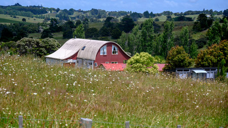 Farmhouse in a field, Northland, North Island, New Zealandのeditorial素材