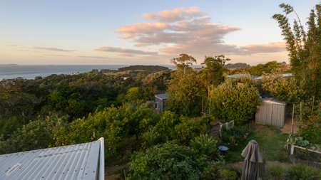 Landscape of Waiheke Island, Auckland, Auckland Region, North Island, New Zealandのeditorial素材