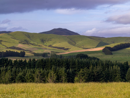 Scenic view of hilly terrain, Longridge North, Southland, New Zealandのeditorial素材